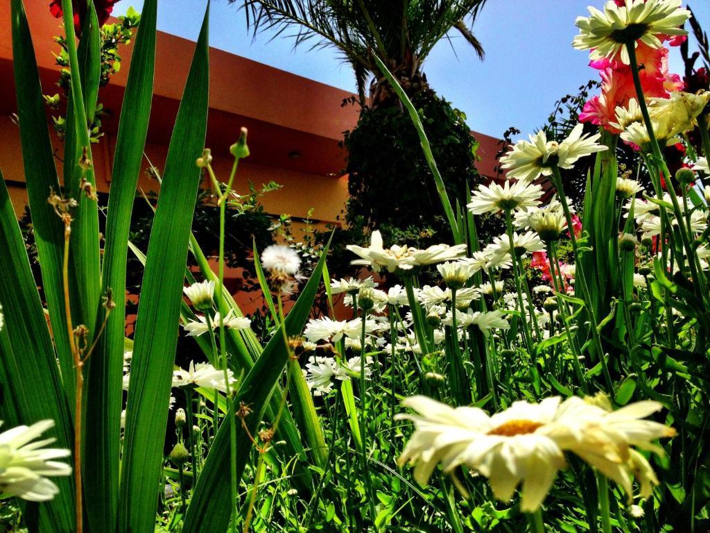 Chrissas Apartments Rethymno Eksteriør bilde